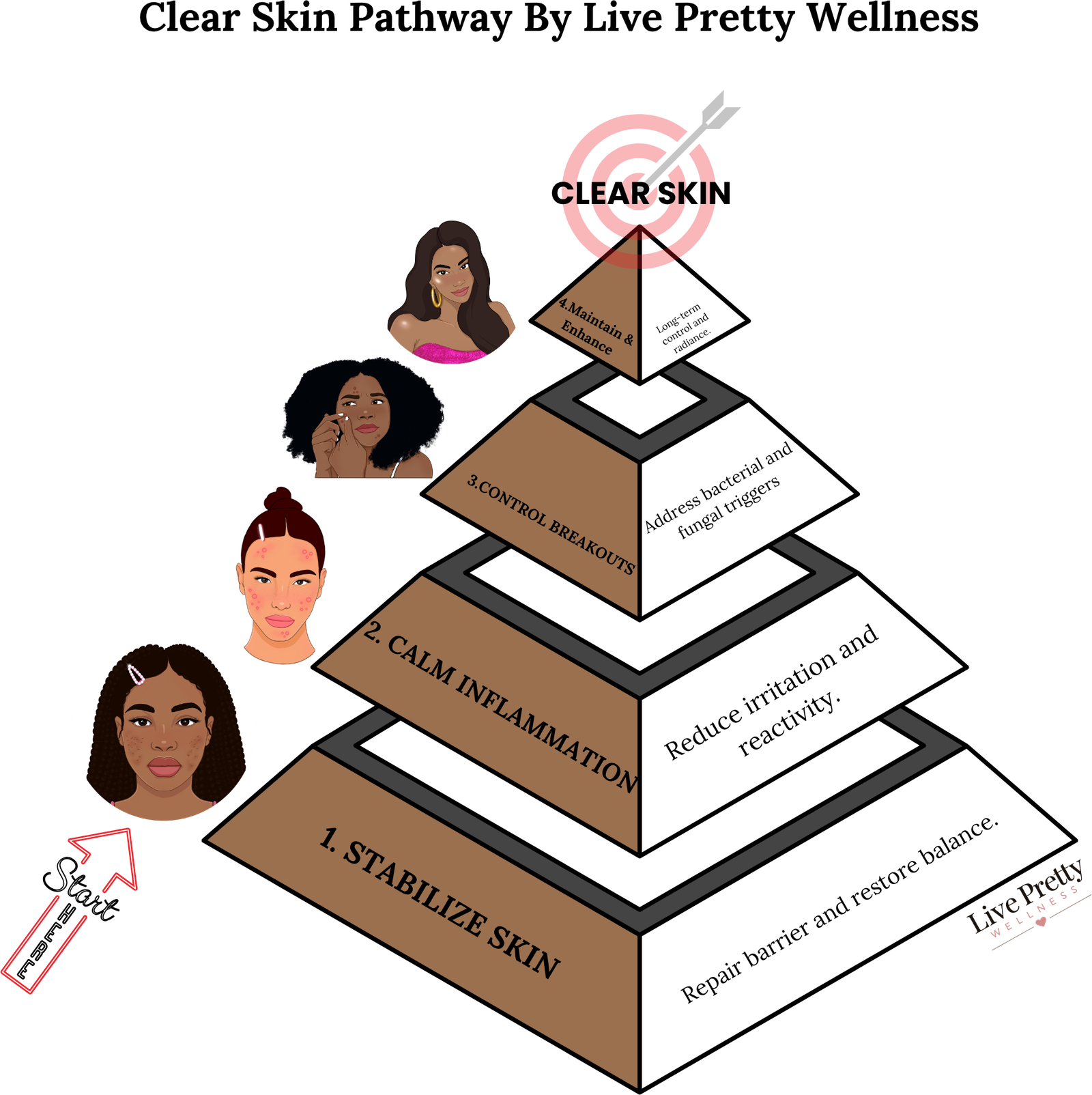 The Clear Skin Pathway by Live Pretty Wellness — a four-step pyramid: 1. Stabilize Skin (repair barrier and restore balance), 2. Calm Inflammation (reduce irritation and reactivity), 3. Control Breakouts (address bacterial and fungal triggers), 4. Maintain & Enhance (long-term control and radiance)